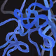 Psyche 4506