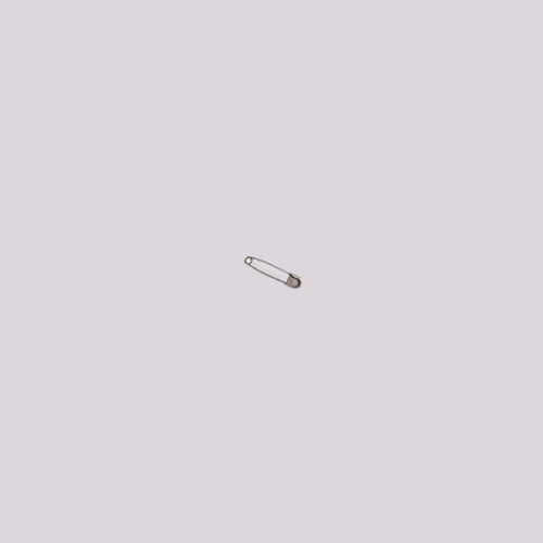 Safety Pin