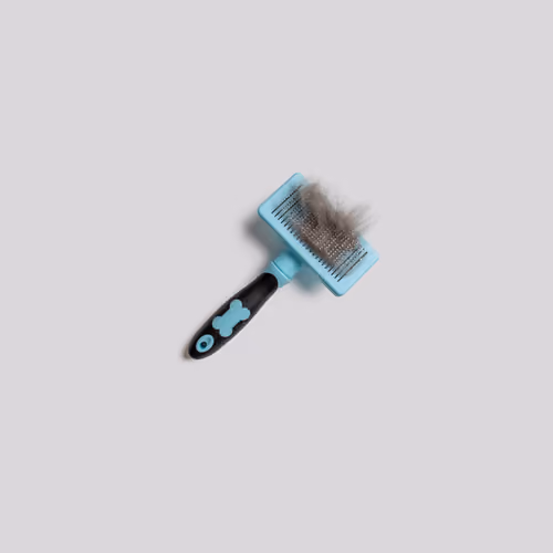 Cat Brush