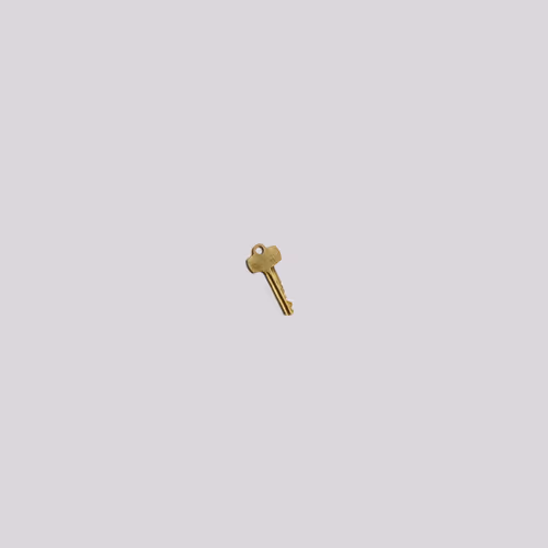 Everythingiown
