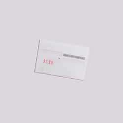 Tax Return [2017]