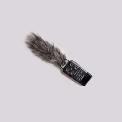 Portable Recorder