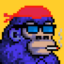0xKongz #238