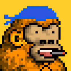 0xKongz #23