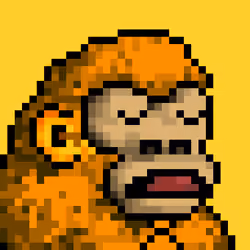 0xKongz #14