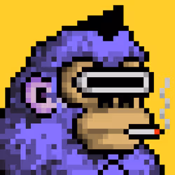 0xKongz #237