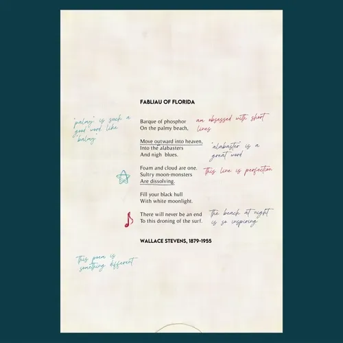 hieroglyphica x Ana María Caballero