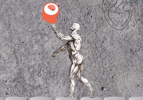 Item #5 Media