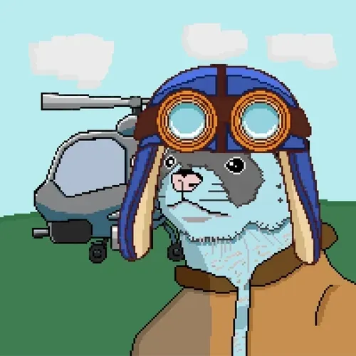 Ferretflightclub