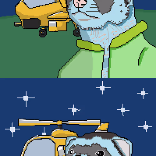Ferretflightclub