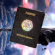 MeTeorite Kingdom Passport