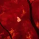 Flutter Into The Embers | Peach Ember