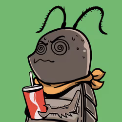2592