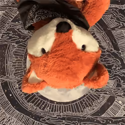 Upside-down StarrBuxx