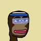 2029