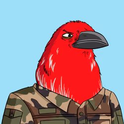 80