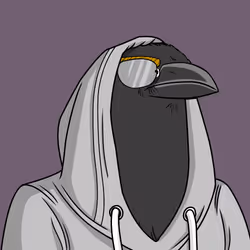 41