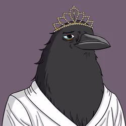 44