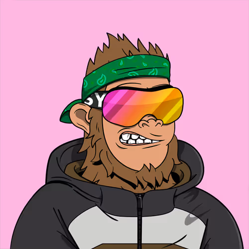 Shredding Sassy Official