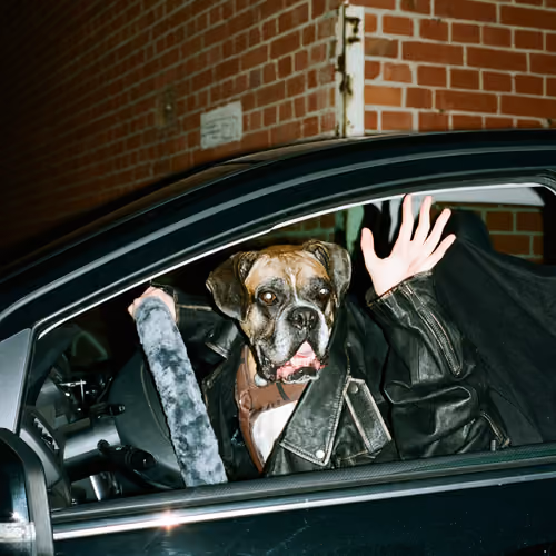 Doggystyle, #1