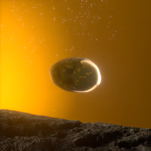 Novum Sui