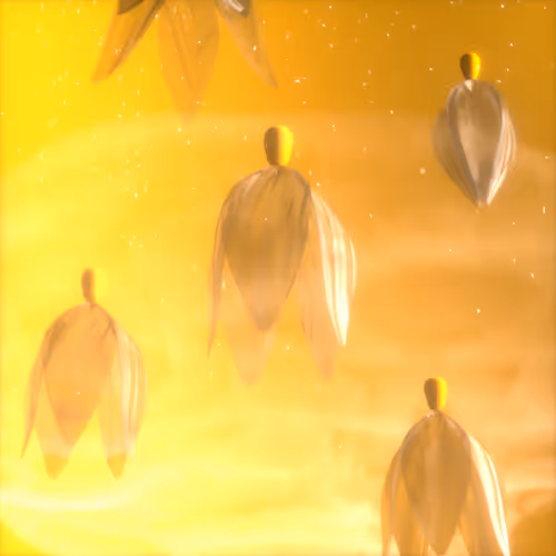 Novum Sui