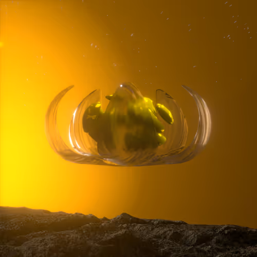 Novum Sui