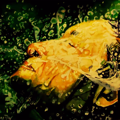 my works - aZ2pabxJDb