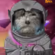 44