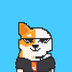 HALF SHIBOSHIS #952