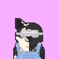 HALF SHIBOSHIS #593