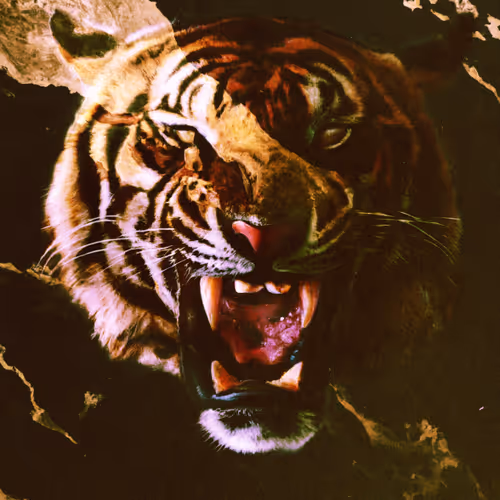 Rawr #6
