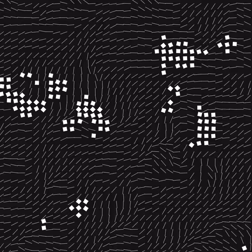 Geometric Fluidity 2