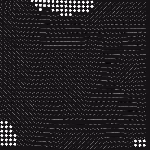 Geometric Fluidity 2