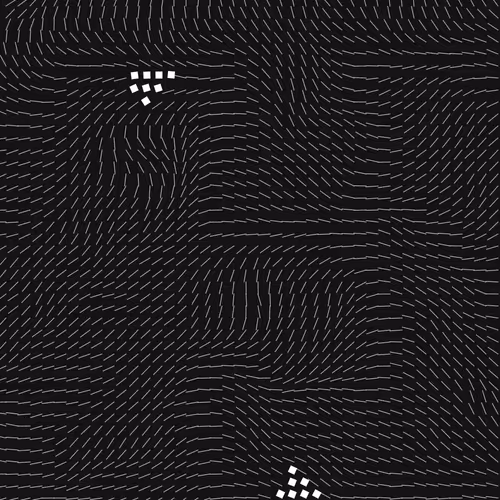 Geometric Fluidity 2