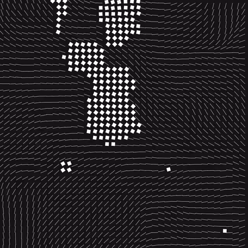 Geometric Fluidity #349