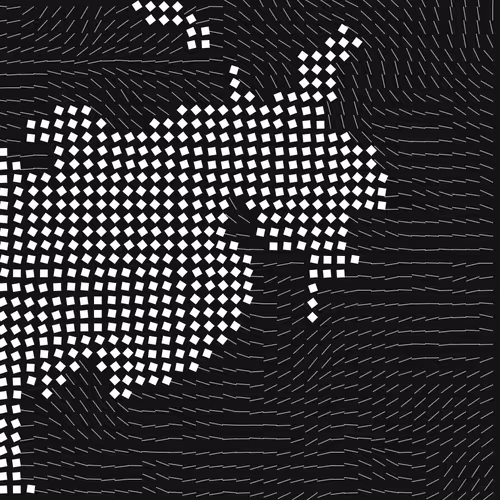 Geometric Fluidity 2