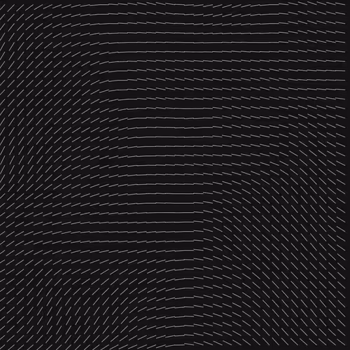 Geometric Fluidity #212