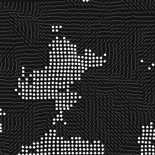 Geometric Fluidity 2