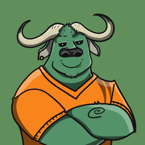 The Bull Runners