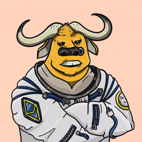 Bull Runner #213