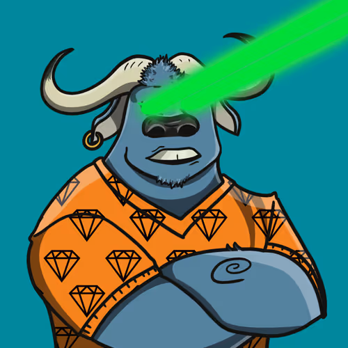 The Bull Runners
