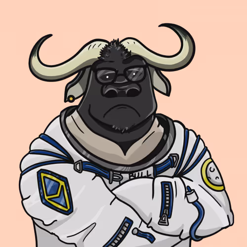 The Bull Runners