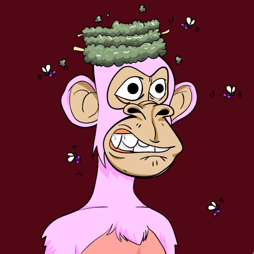 Shit On Ape