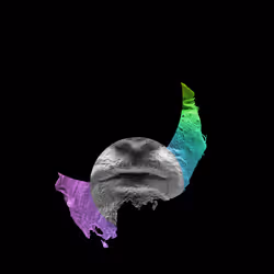 991
