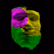 504