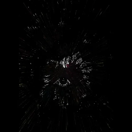 CRYPTOPHOBIA SPECIAL