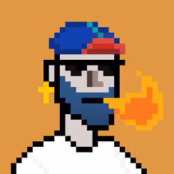 HodlHead #237