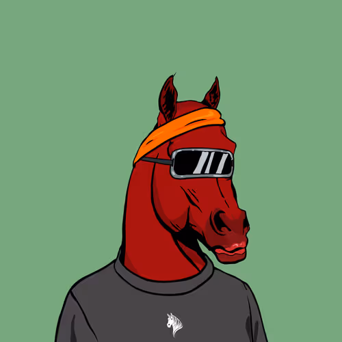 Arabian Horse 2