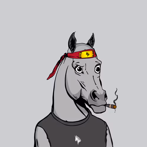 Arabian Horse 2